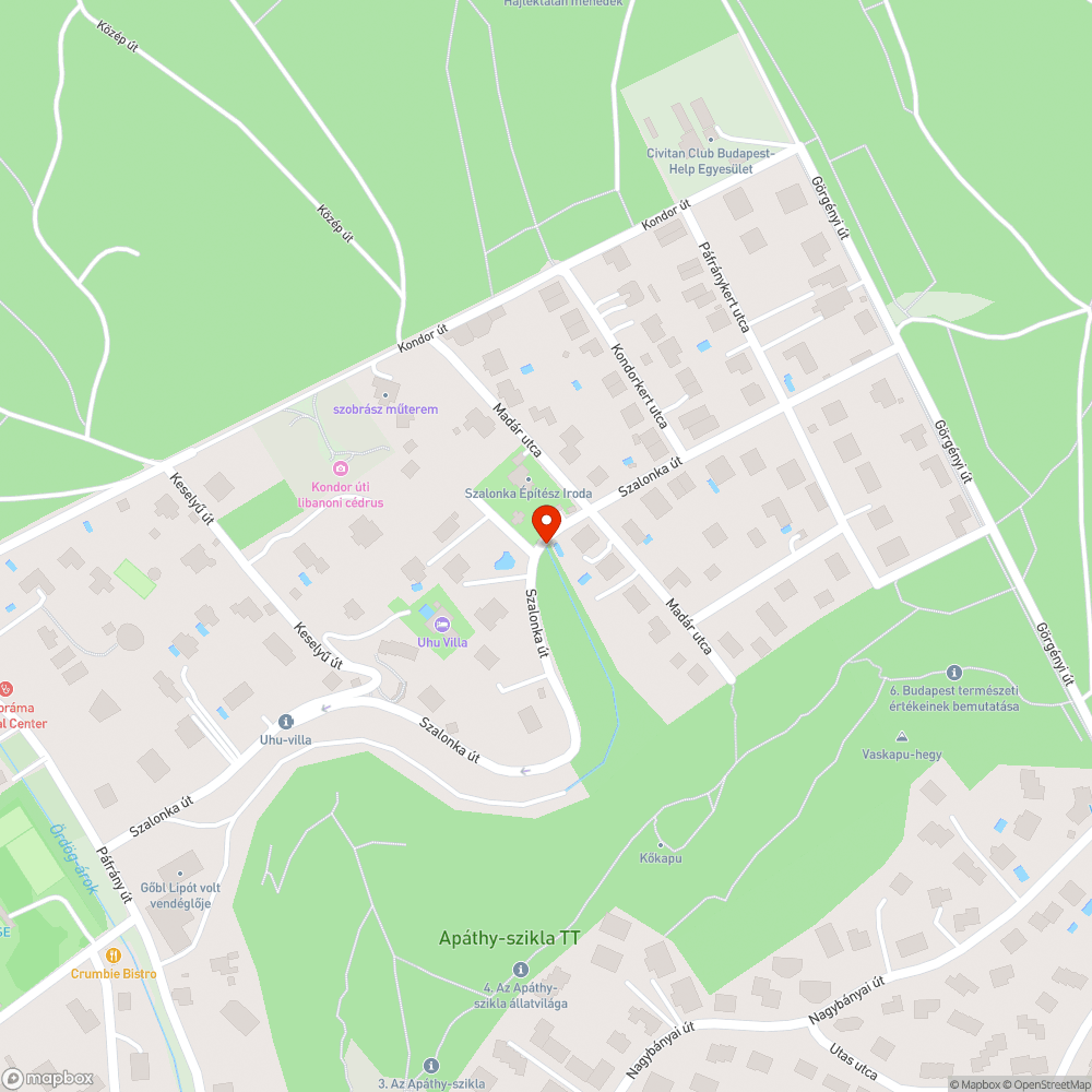 Balesetveszélyes víznyelő bejelentés helye