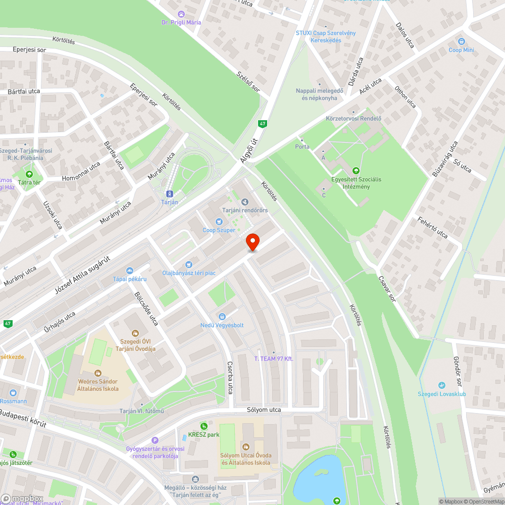 50 éves platánfa kivágása bejelentés helye