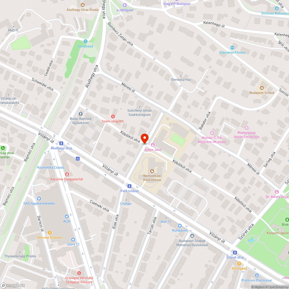 Gondozatlan zöldterület rendbetétele bejelentés helye