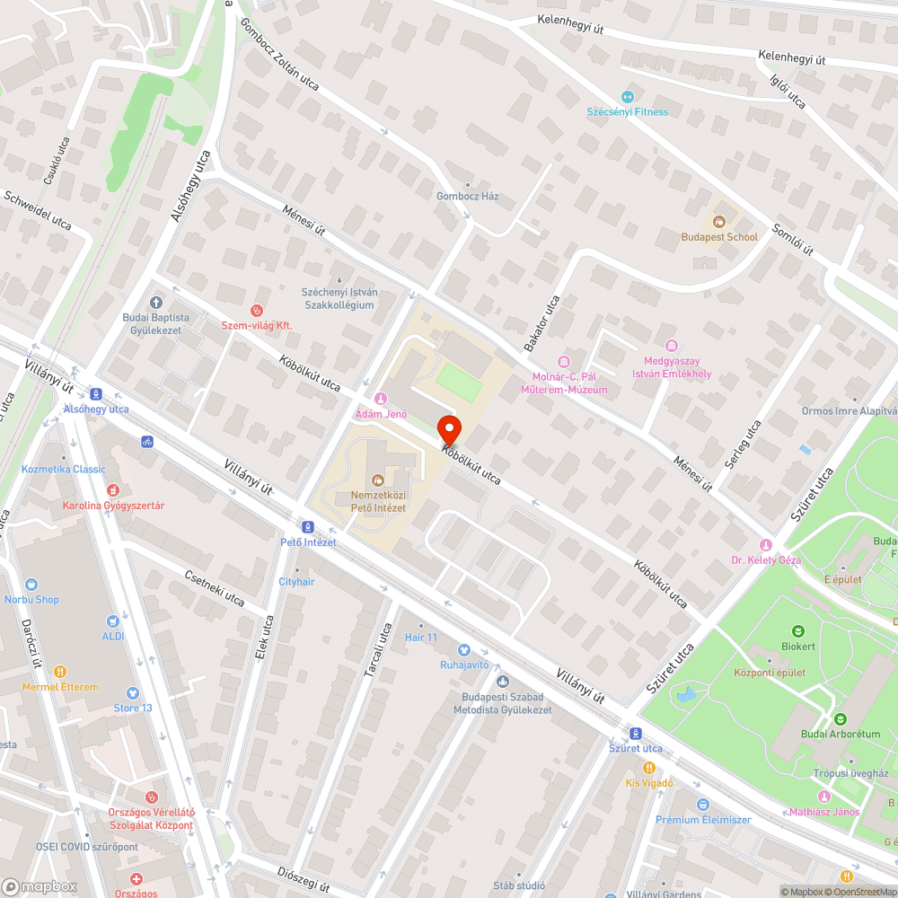 Lehullott rohadó levelek és szemét bejelentés helye