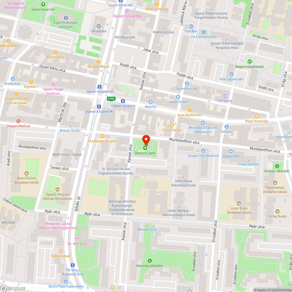 Rendszeres szemetelés és hiányzó kuka-kapacitás bejelentés helye