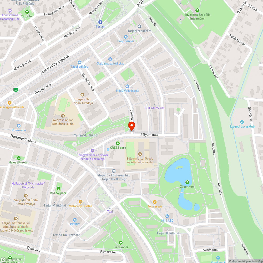 Eldugult víznyelő - Sólyom utca és Csorba utca sarka bejelentés helye