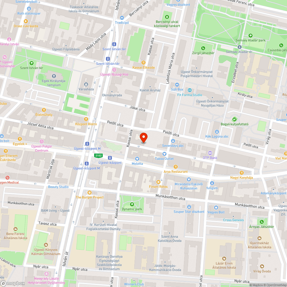 József Attila utca megint szemetes bejelentés helye