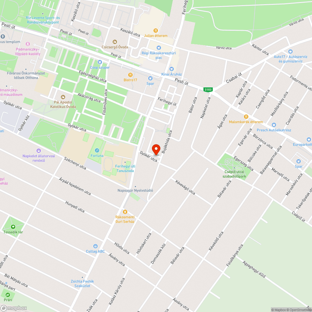 Suzukik bejelentés helye