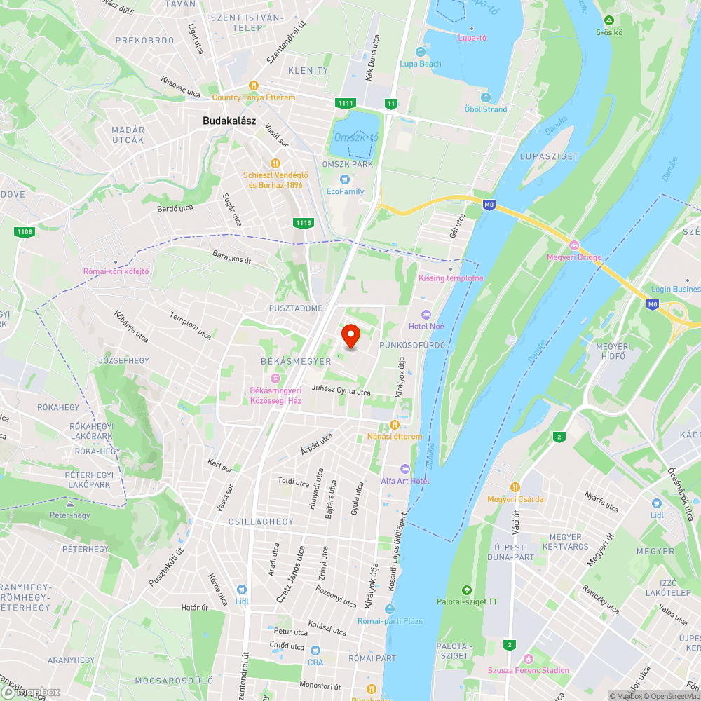 Kivágott fa nincs eltakarítva 3 hónapja bejelentés helye