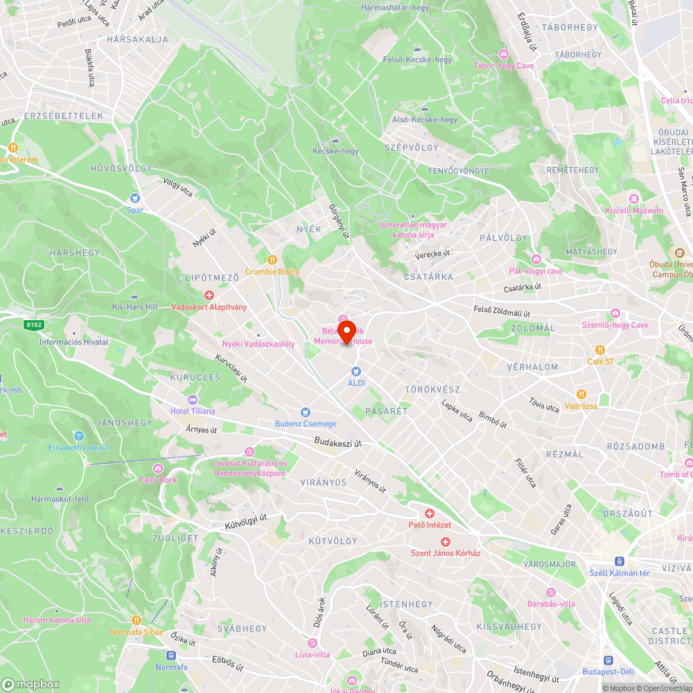 Kátyú a Szilfa utcában bejelentés helye