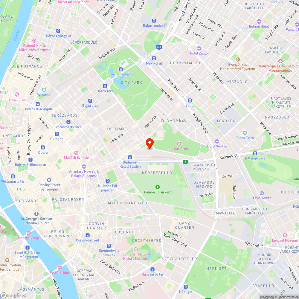 Kiszáradt fa a Verseny utcában bejelentés helye