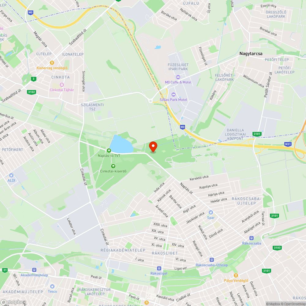 Szemétlerakás a Naplás-erdőben bejelentés helye