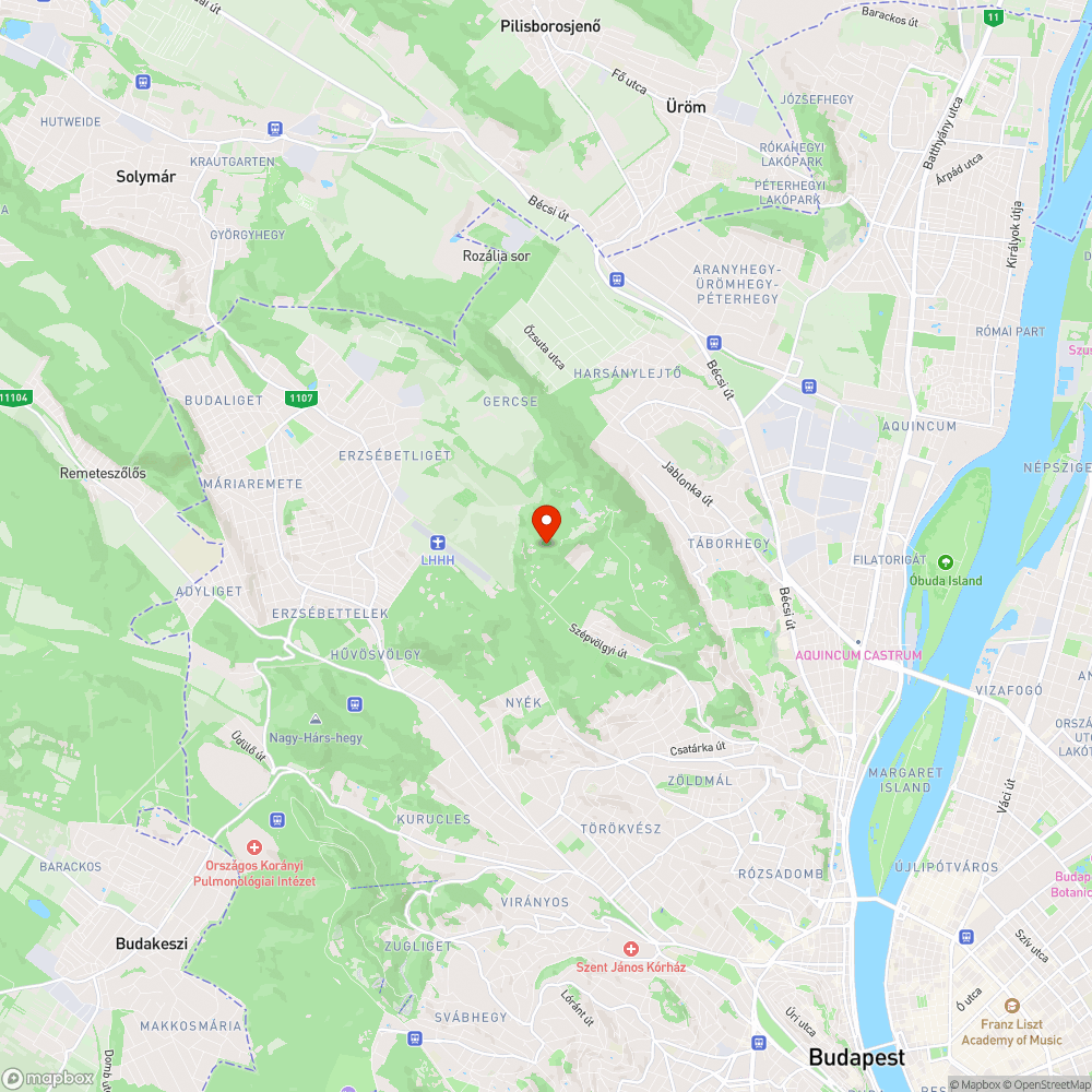 Kidőlt fejre veszélyes fa a Hármashatár-hegyen bejelentés helye