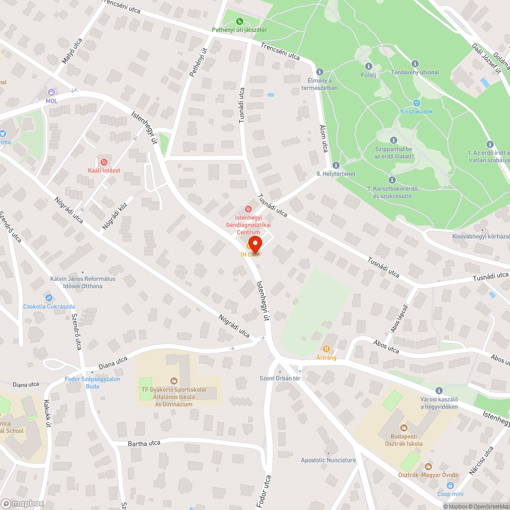 Lekopott parkolási csík festés bejelentés helye