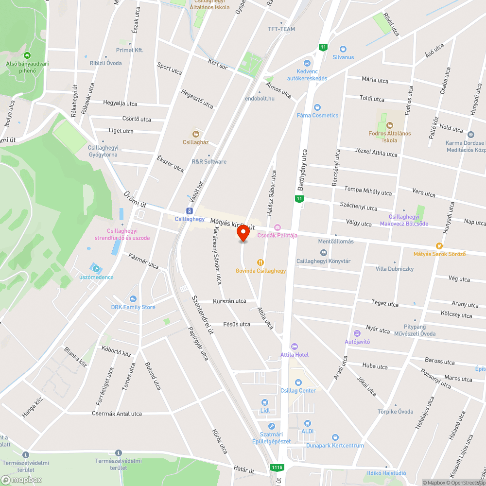 Patkányok az utcán szaladgálnak bejelentés helye