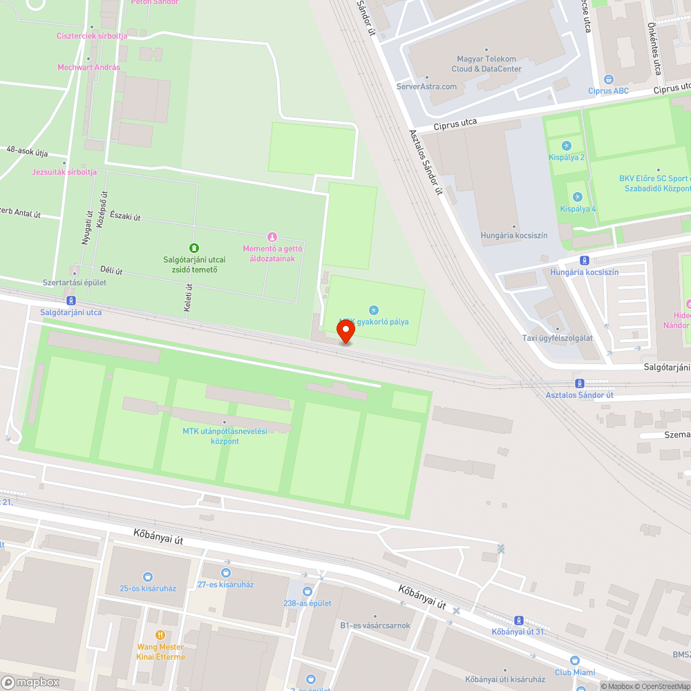 Nem látszik a kosztól a járda bejelentés helye