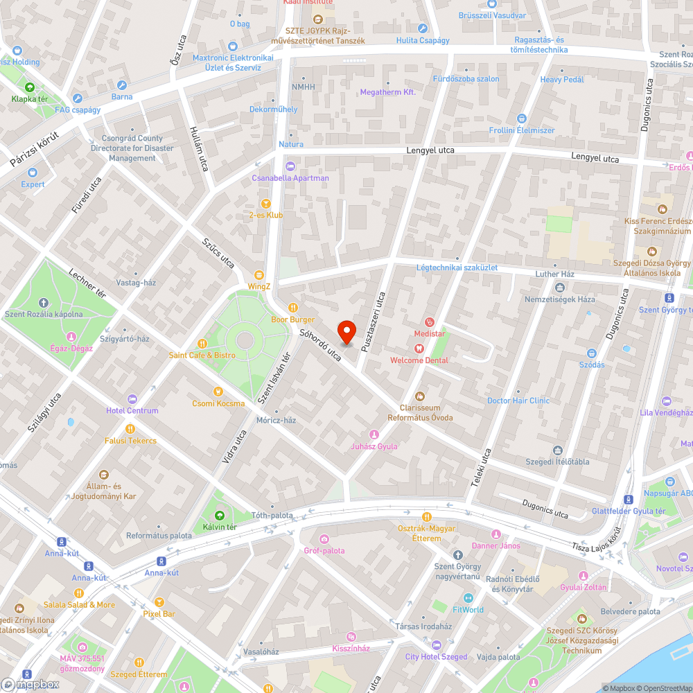 Kivágott fa - Sóhordó utca 19. bejelentés helye