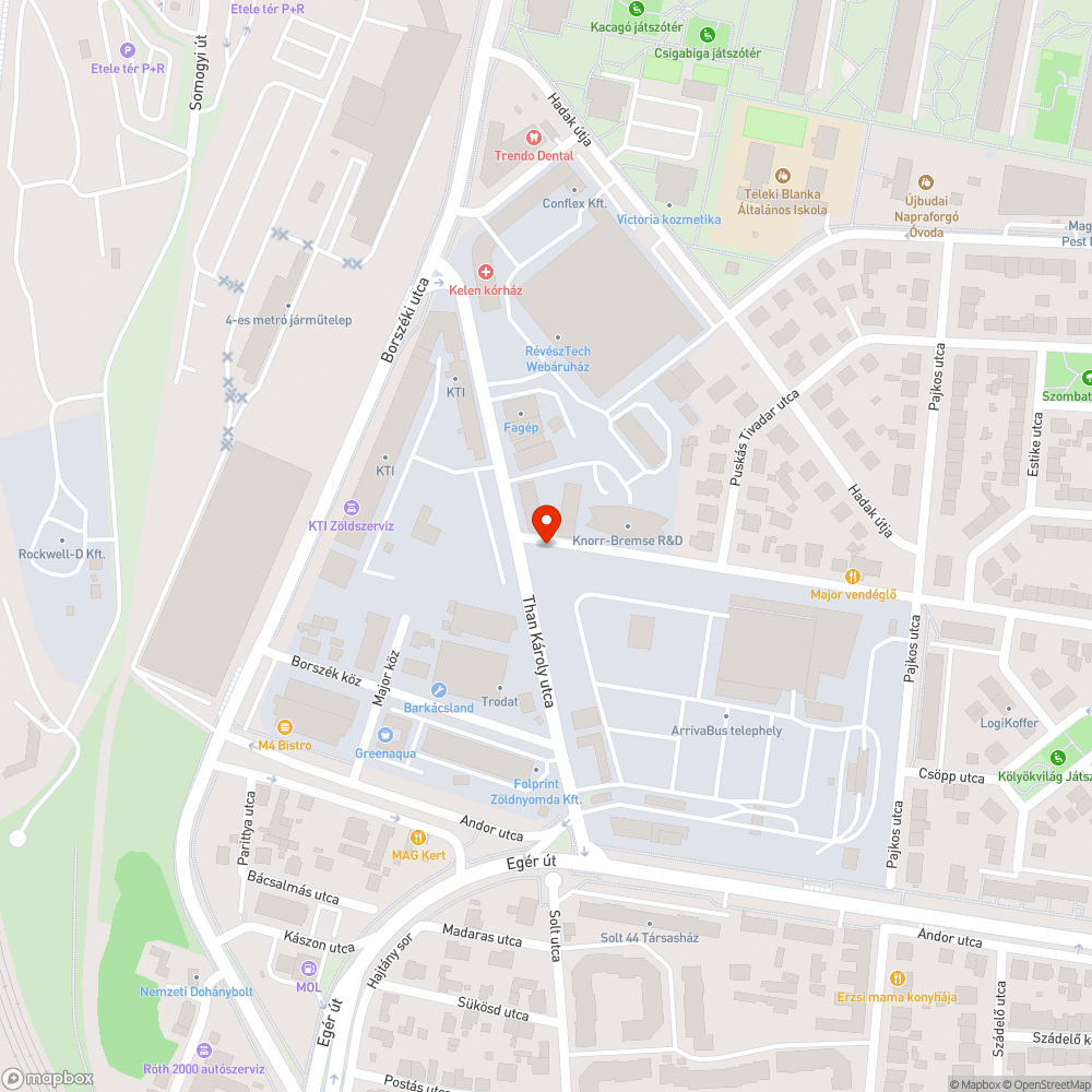 Növényzet takarta altalaji tűzcsap bejelentés helye