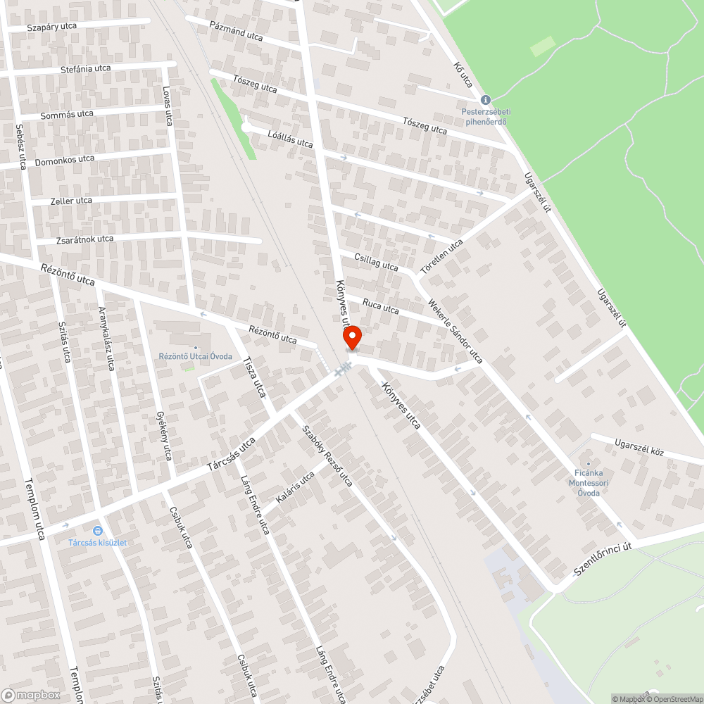 Hónapok óta levágott ágak bejelentés helye