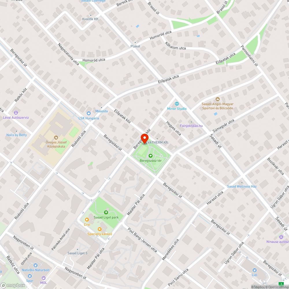 Kezeletlen focipálya a Beregszász téren bejelentés helye