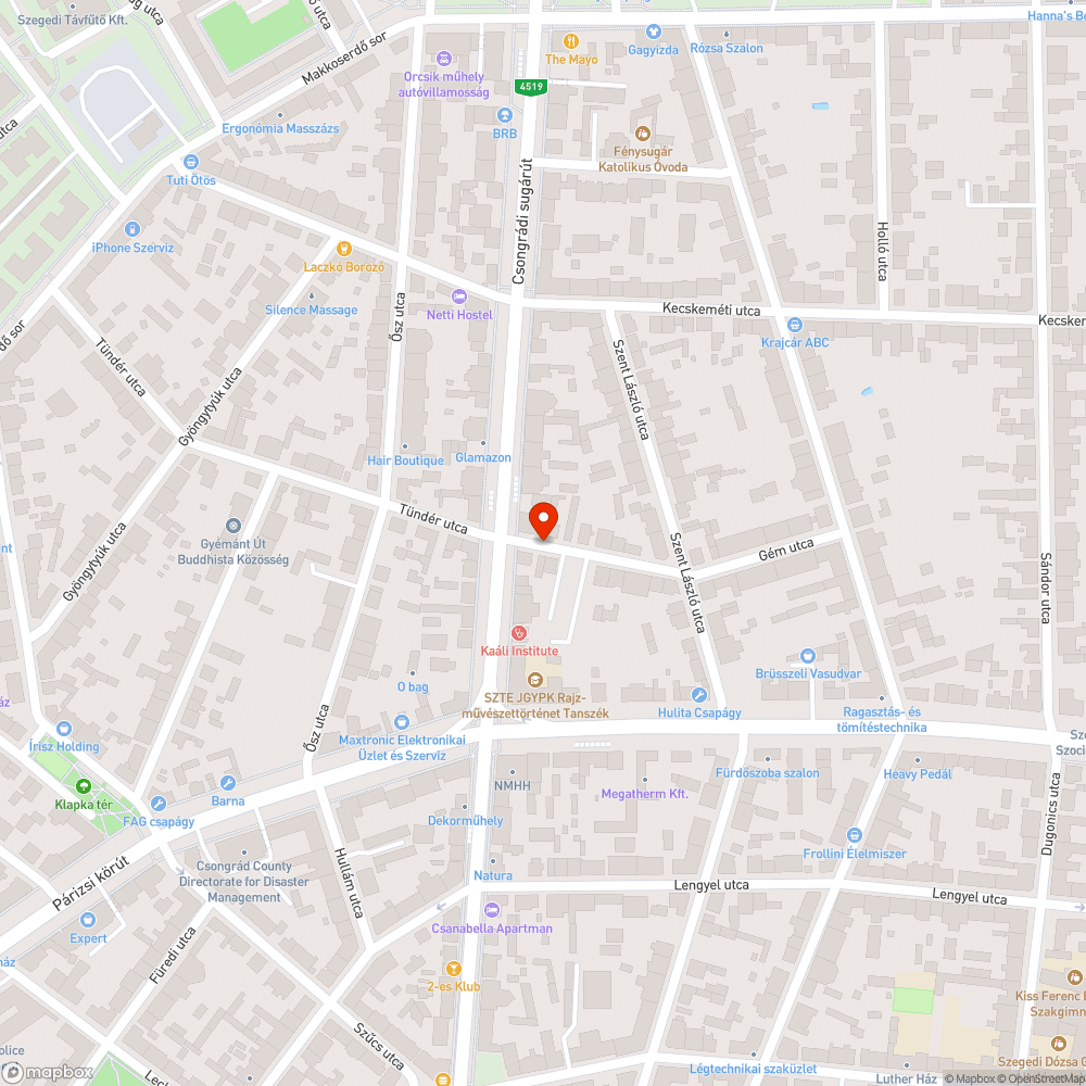 Kidobott gumik, kövek, műanyag szemét és levágott gallyak a ház előtt. bejelentés helye