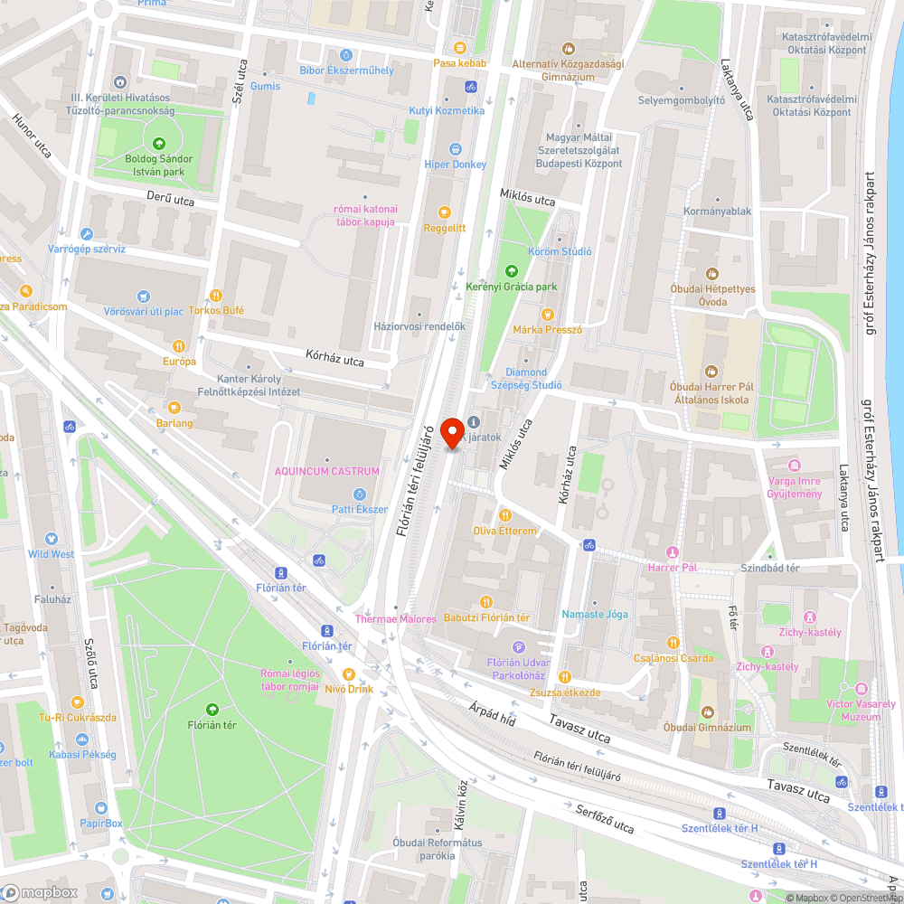 Eldugult víznyelő bejelentés helye