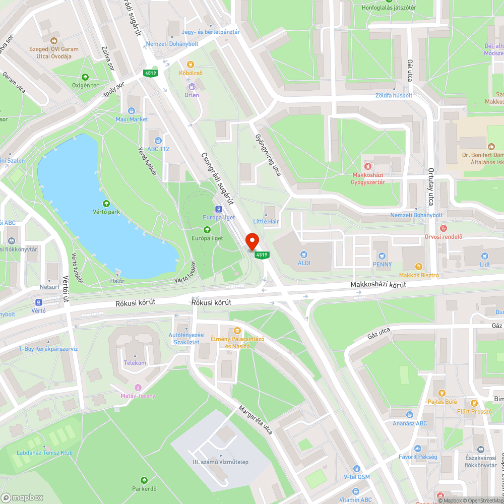 Leszakadt korlát - Európa liget bejelentés helye