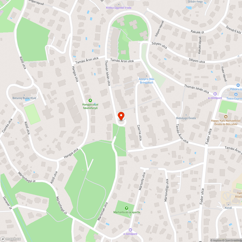 Megtépázott magyar zászló bejelentés helye