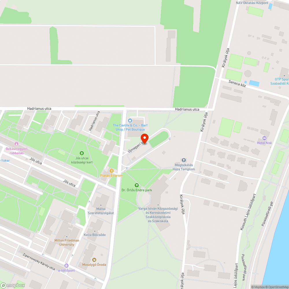 Hatalmas a fű a buszvégállomáson bejelentés helye