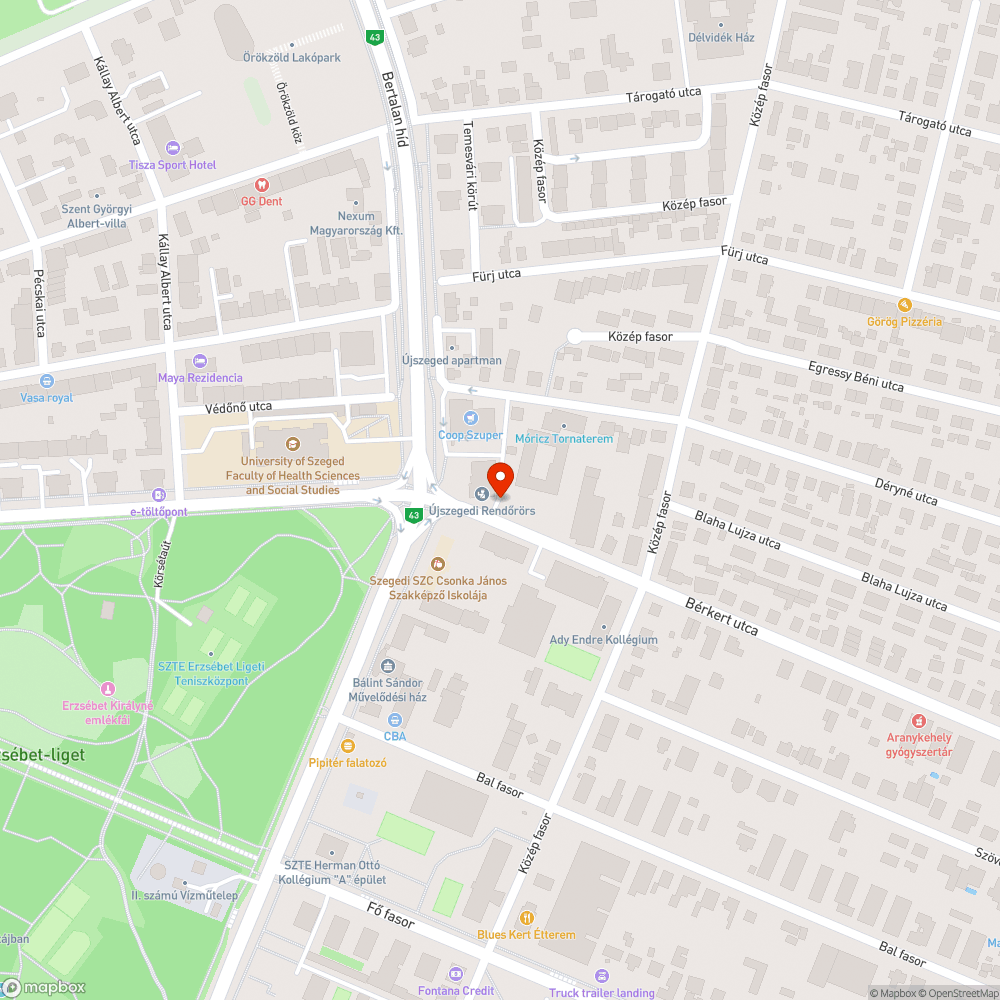 Vastagon áll a sár az út szélén - Bérkert utca bejelentés helye