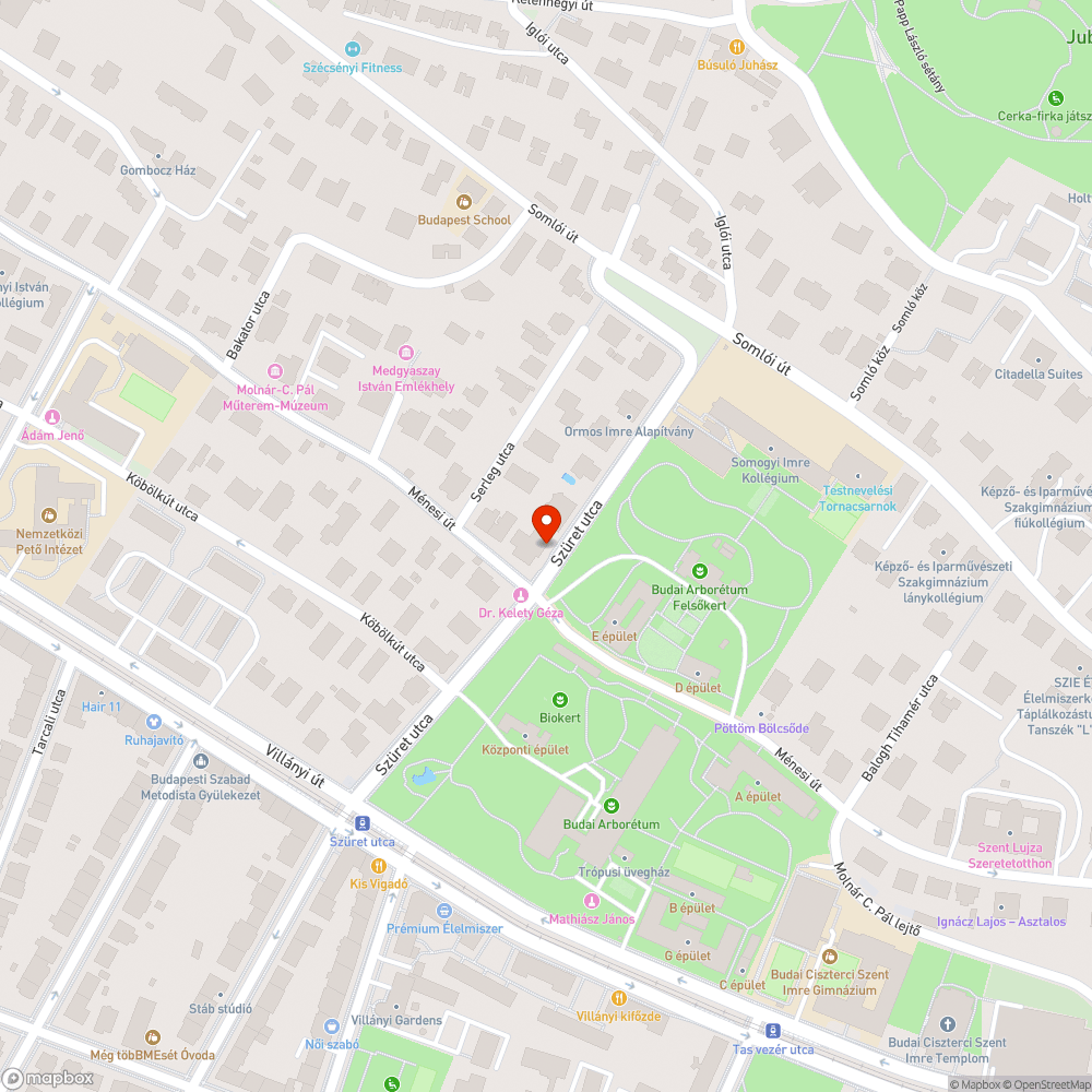 Járdát nagyrészt elfoglaló utasváró bejelentés helye