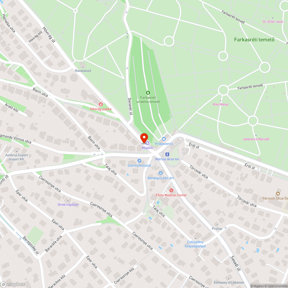 Márton Áron tér buszmegálló összefirkálva, karcolva bejelentés helye