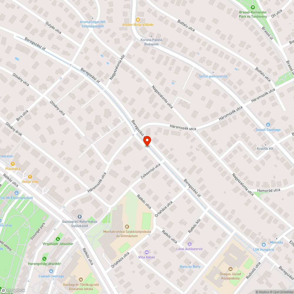 Bringacsapda a Beregszászi úton bejelentés helye