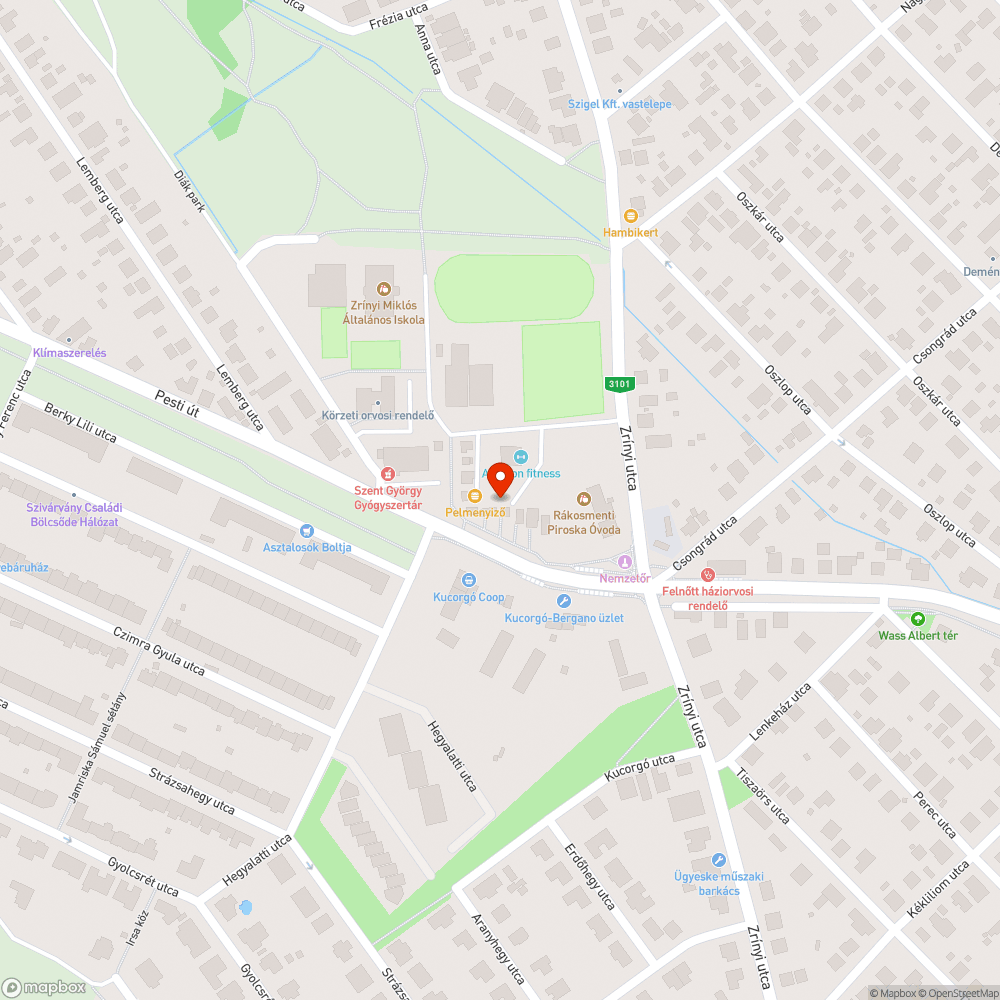 Balesetveszélyes lyuk, szemét és gally kupac bejelentés helye