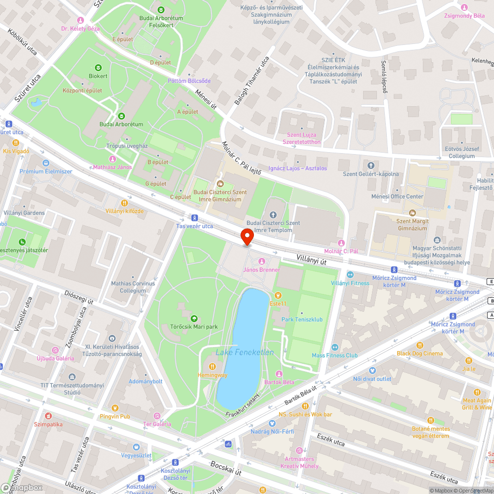 Összefirkált kuka a Szent Imre templommal szemben bejelentés helye