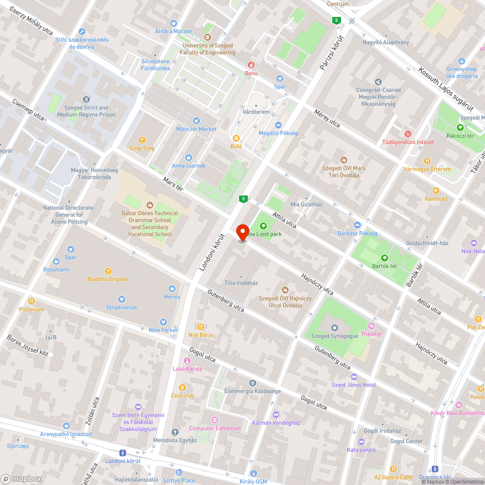 Kivágott fa hatalmas tuskója - Hajnóczy utca 30. bejelentés helye