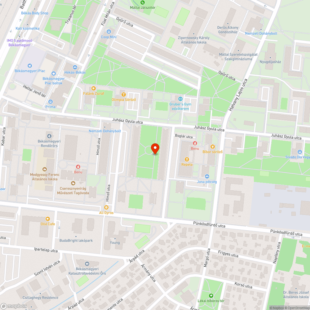 Letört és levágott fa ágát nem vitték el bejelentés helye