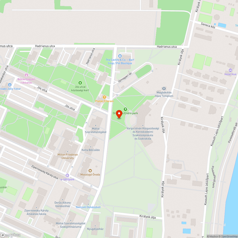 Órási a fű a Dr. Őrlős Endre Parkban bejelentés helye