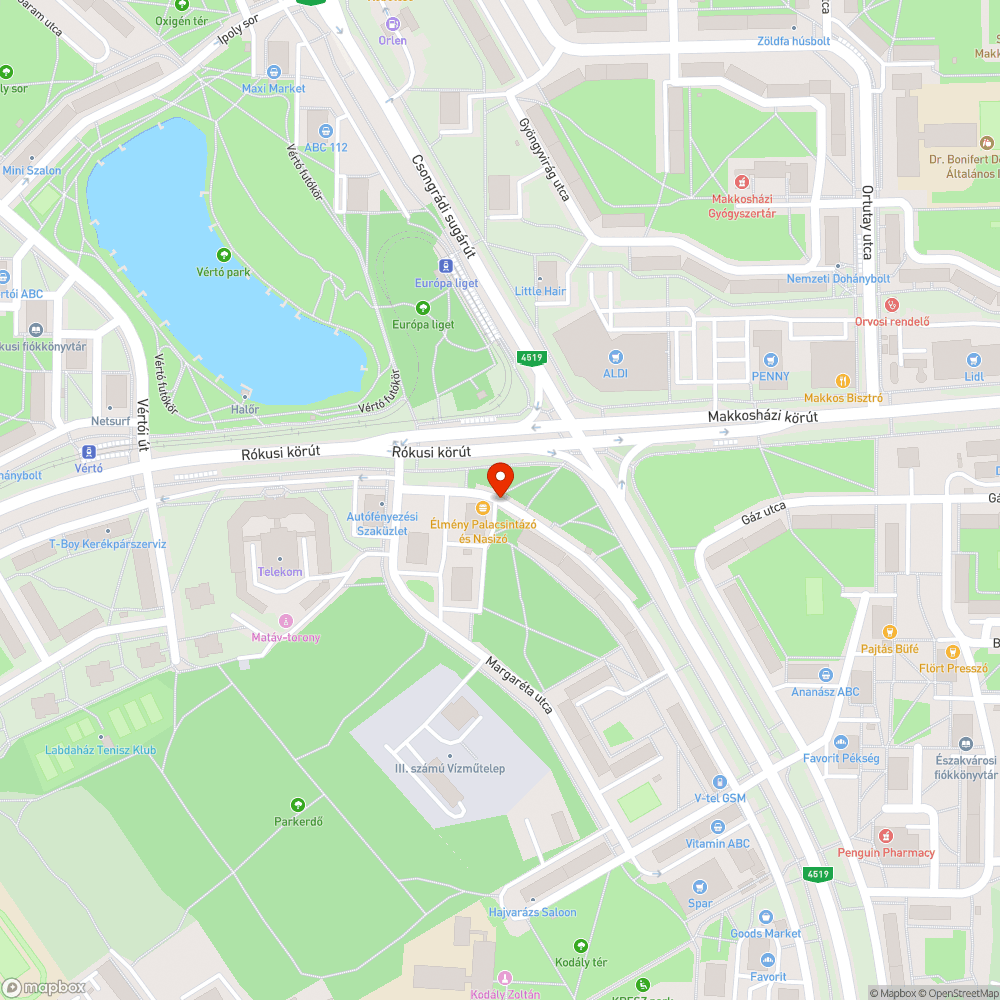 Felgyújtott szelektív szemét gyűjtő - Csongrádi sgt. 100. bejelentés helye