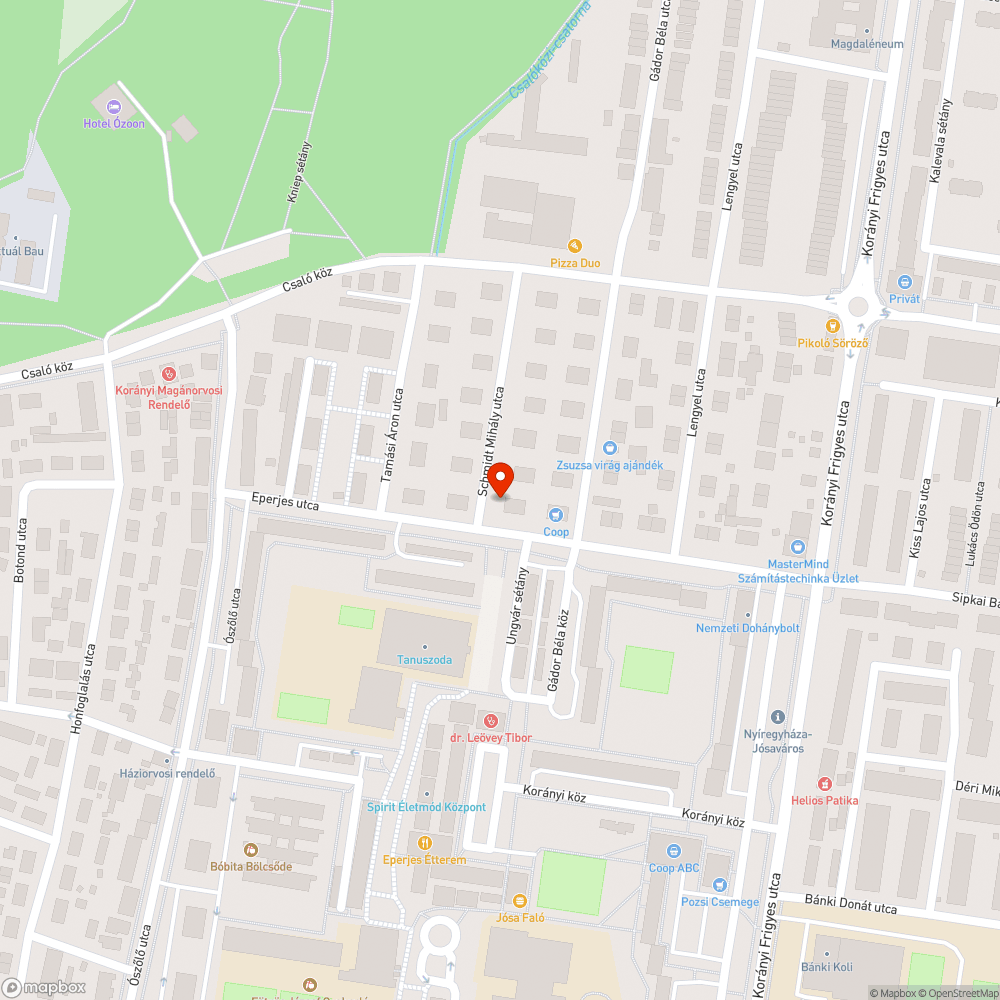 Lelógó korhadt ágak bejelentés helye