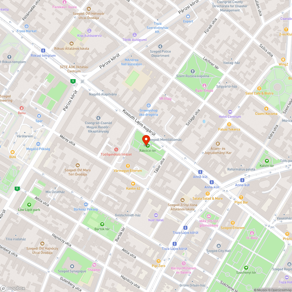 Eldugult víznyelő - Rákóczi téri kormányhivatal parkolójának bejárata mellett bejelentés helye