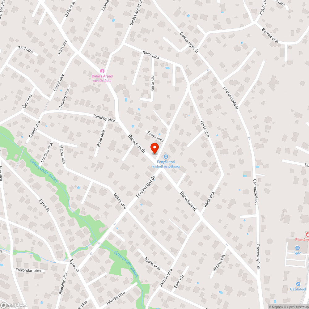 Felburjánzott gaztól beláthatatlan kereszteződés bejelentés helye