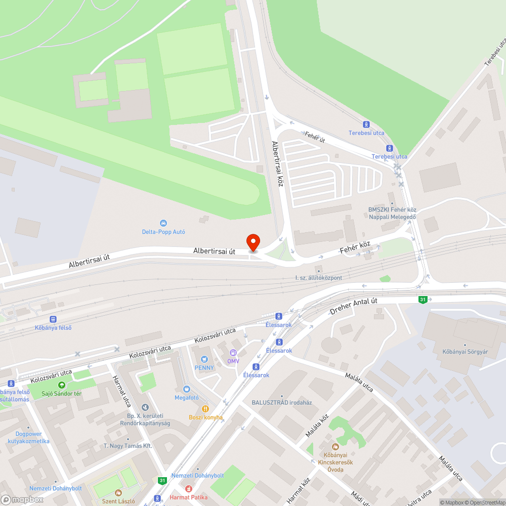 Kiszáradt fa bejelentés helye