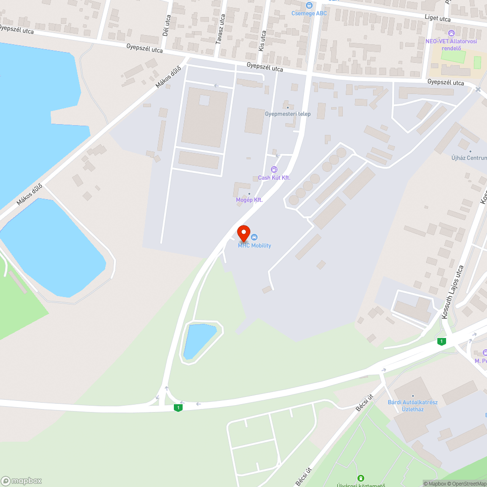 Graffiti, avagy fucsa szárnyak "F" betűje egész (!!!) Győrben. bejelentés helye