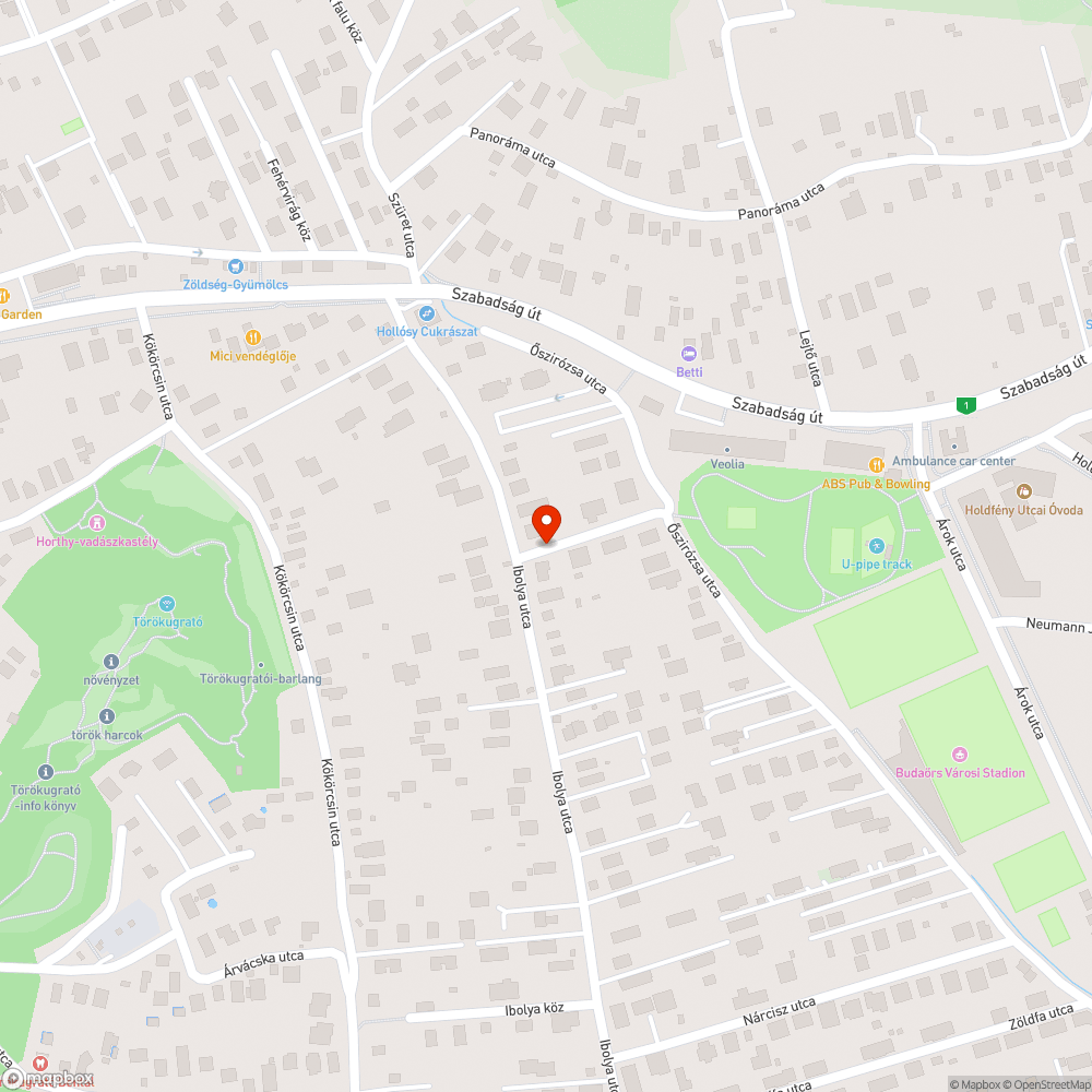 Parkoló autók ellehetetlenítik a közlekedést bejelentés helye