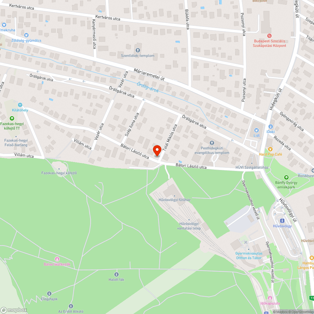 Elburjánzott gaz bejelentés helye