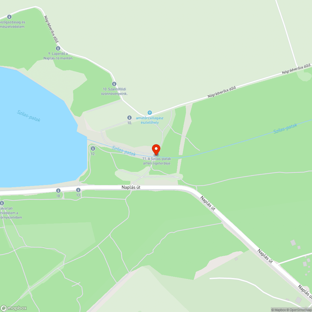 Naplás-tavi híd bejelentés helye