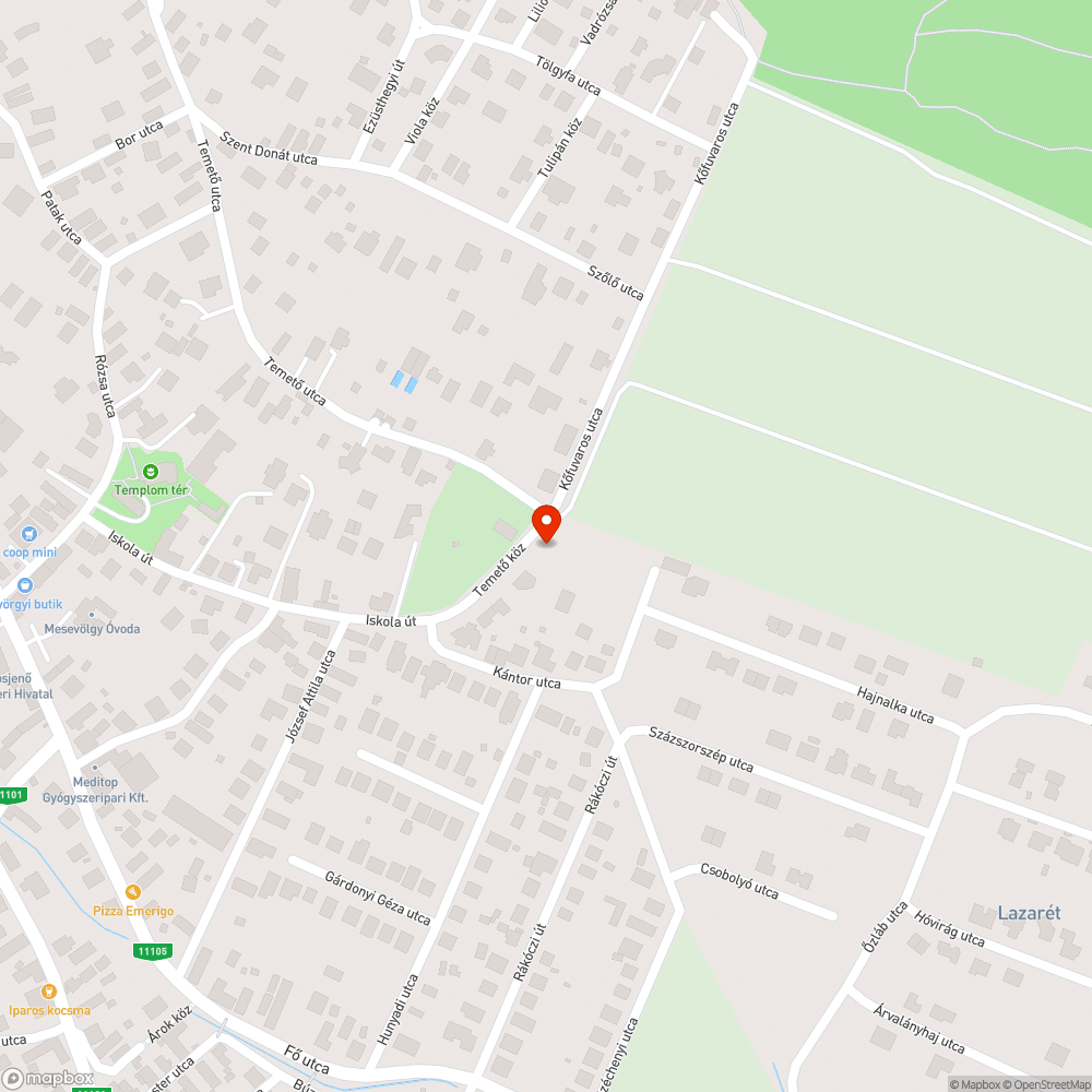 Elhanyagolt közterület. bejelentés helye