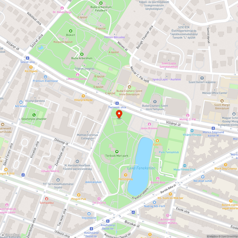 Cigicsikk, üvegszilánk, szemét a Feneketlen-tavi játszótéren bejelentés helye