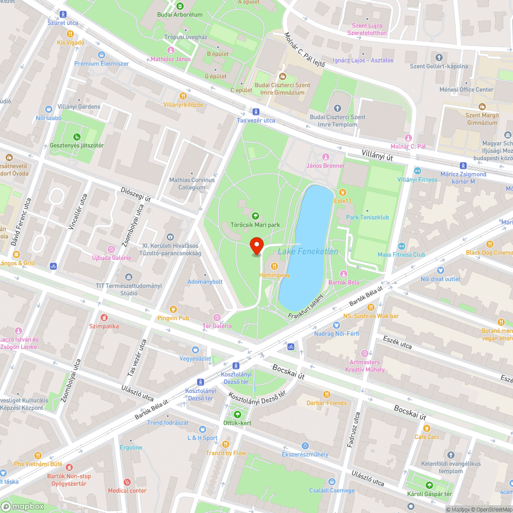 Kartonlapok a Feneketlen-tó melletti parkban bejelentés helye