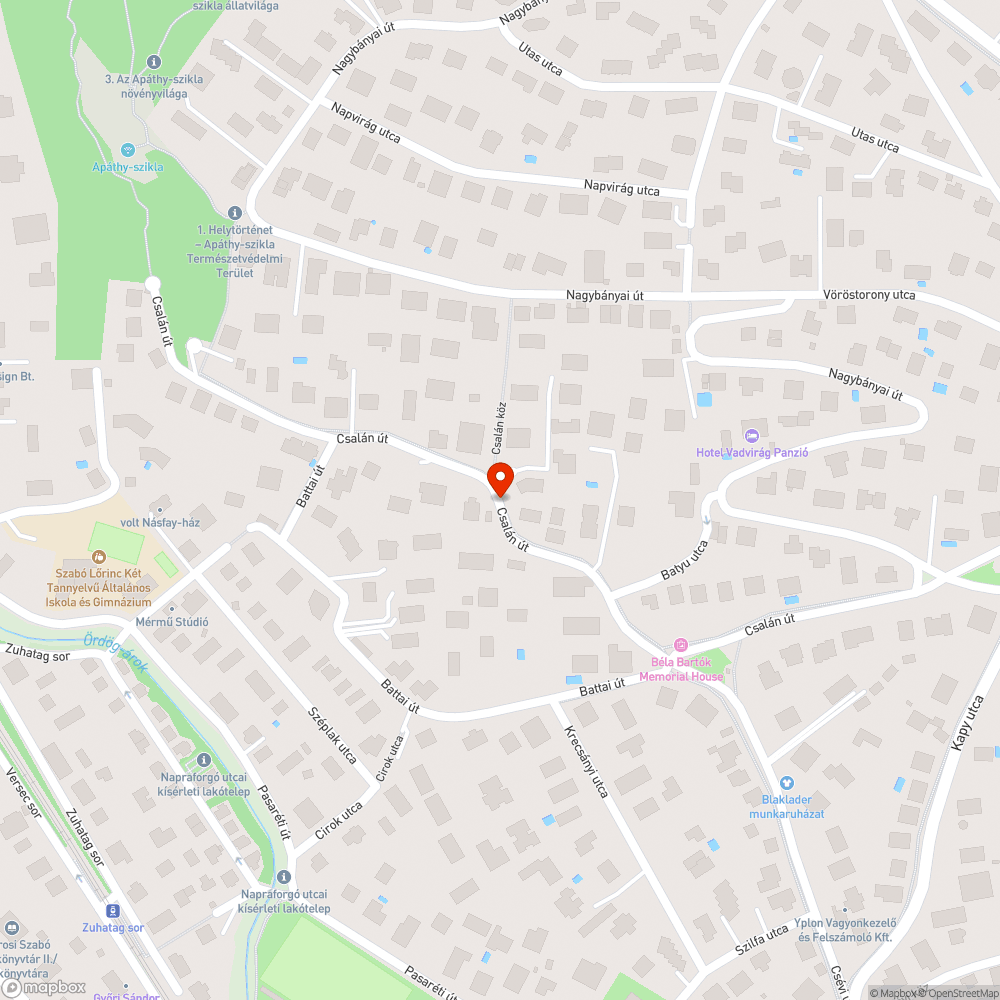 Veszélyes kátyú - Csalán 37C bejelentés helye