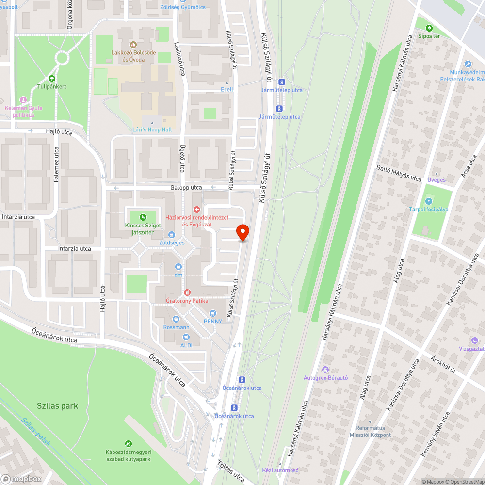 üres fahelyek a Külső Szilágyi úton a nyolcemeletes házak előtt bejelentés helye