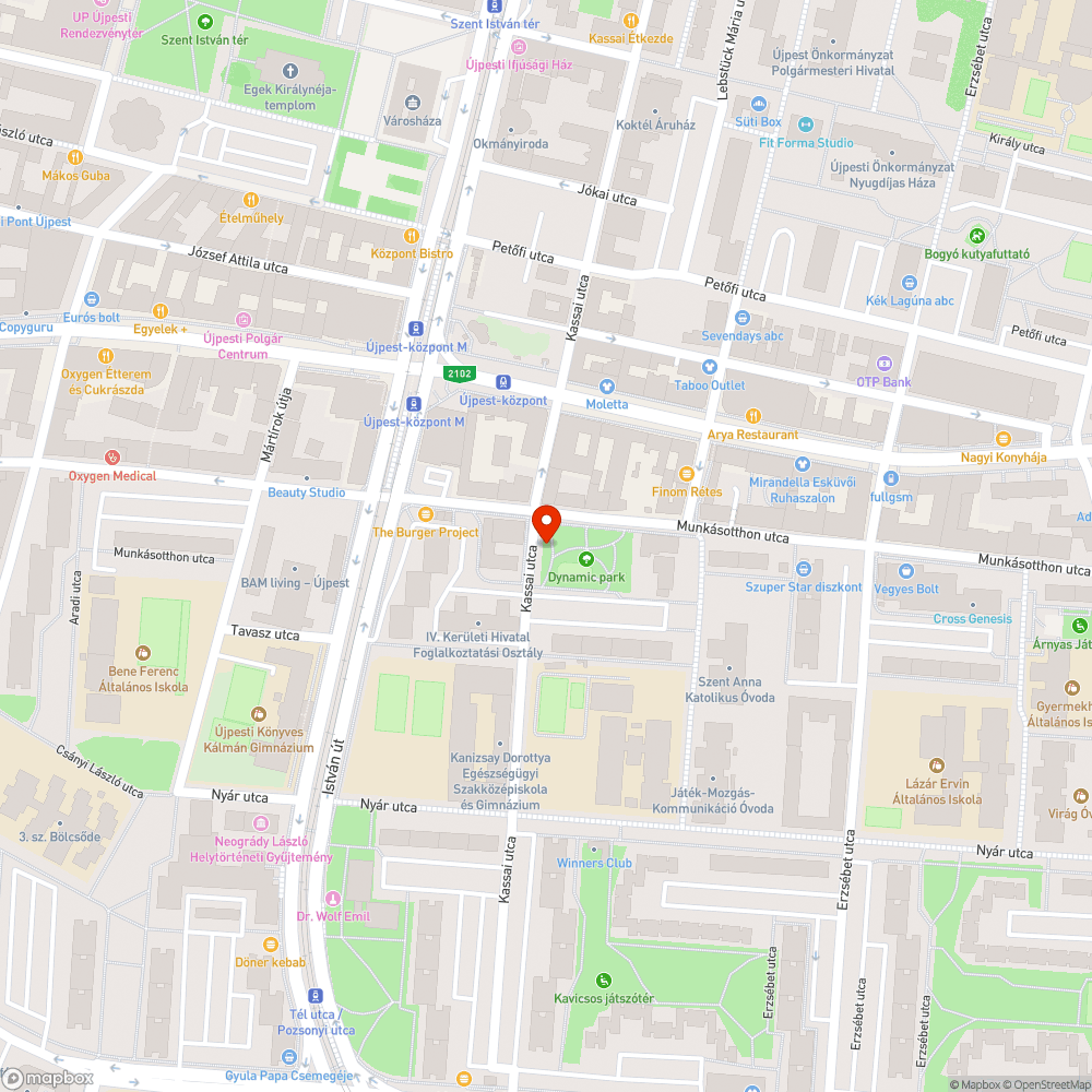 Zajos kutyafuttató bejelentés helye