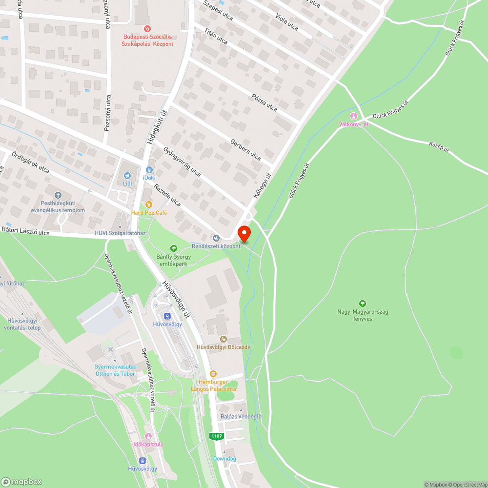 Embermagasságú csalán a Rezeda utca végén a bicikliúton bejelentés helye